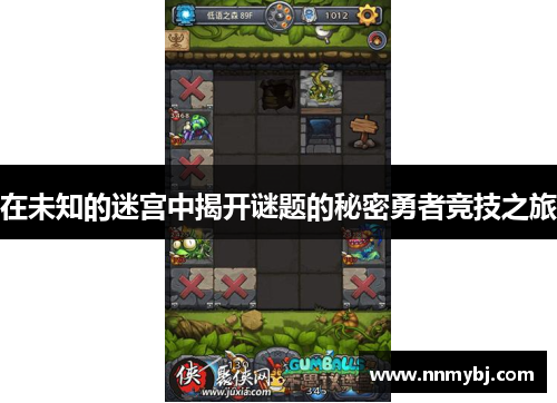 在未知的迷宫中揭开谜题的秘密勇者竞技之旅