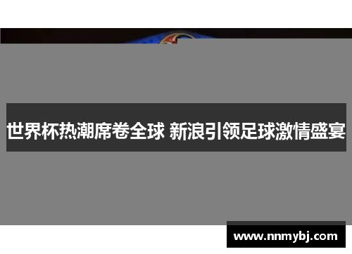 世界杯热潮席卷全球 新浪引领足球激情盛宴