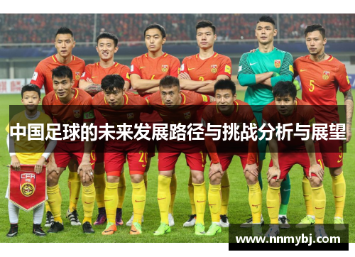 中国足球的未来发展路径与挑战分析与展望