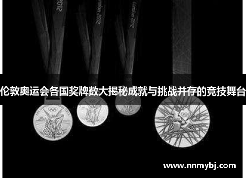 伦敦奥运会各国奖牌数大揭秘成就与挑战并存的竞技舞台